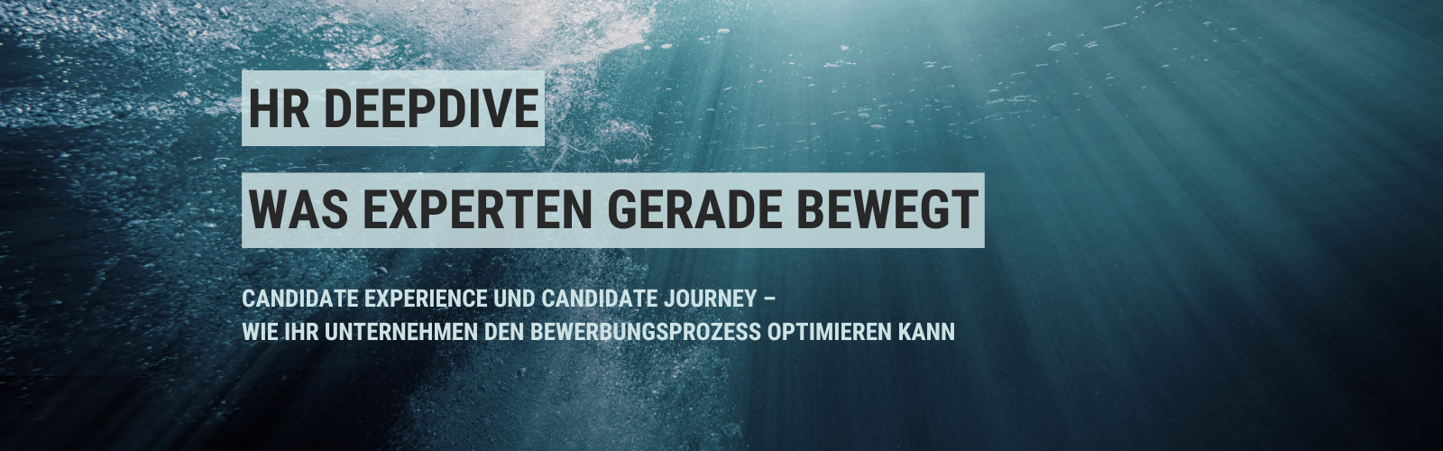 Candidate Experience und Candidate Journey –wie Ihr Unternehmen den Bewerbungsprozess optimieren kann