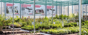 PitchYou offizieller Newsletter Header (1000 x 400 px)