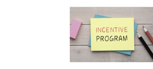 Glossar Incentive-Programme