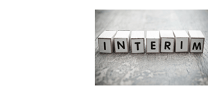 Glossar Interim Management